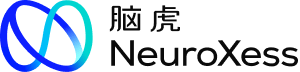 脑虎